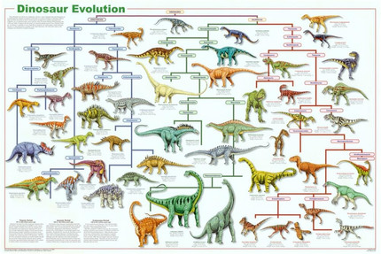 Dinosaur Evolution Educational Science Chart Poster 36 x 24in