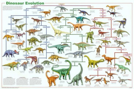 Dinosaur Evolution Educational Science Chart Poster 36 x 24in