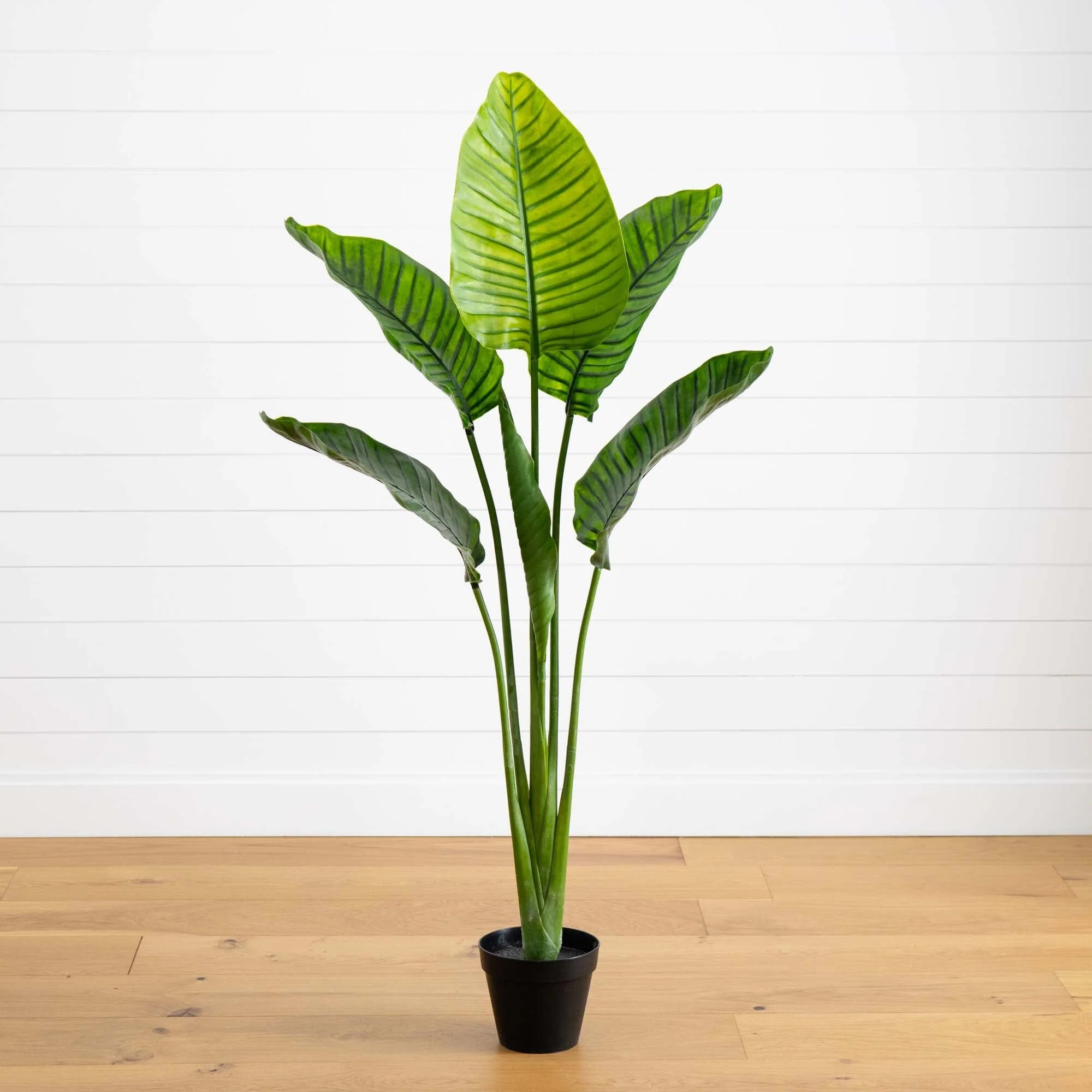 64” Travelers Palm Tree UV Resistant (Indoor/Outdoor) | Nearly Natural | Nearly Natural