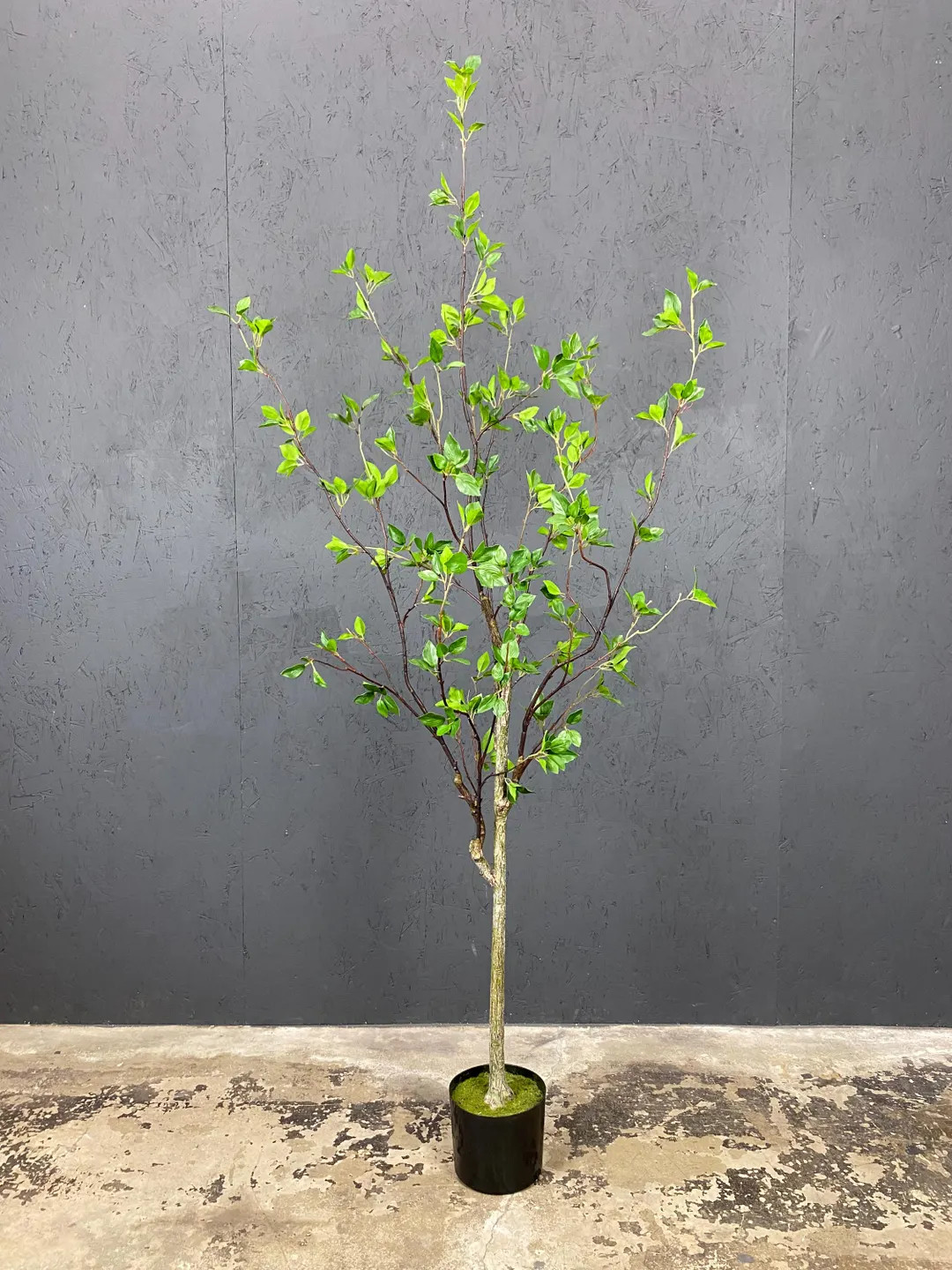 4 Foot,6 Foot Artificial Tree,spring Tree,green Leaf Tree,silk Tree,silk Plant,artificial Tree Gr... | Etsy (US)