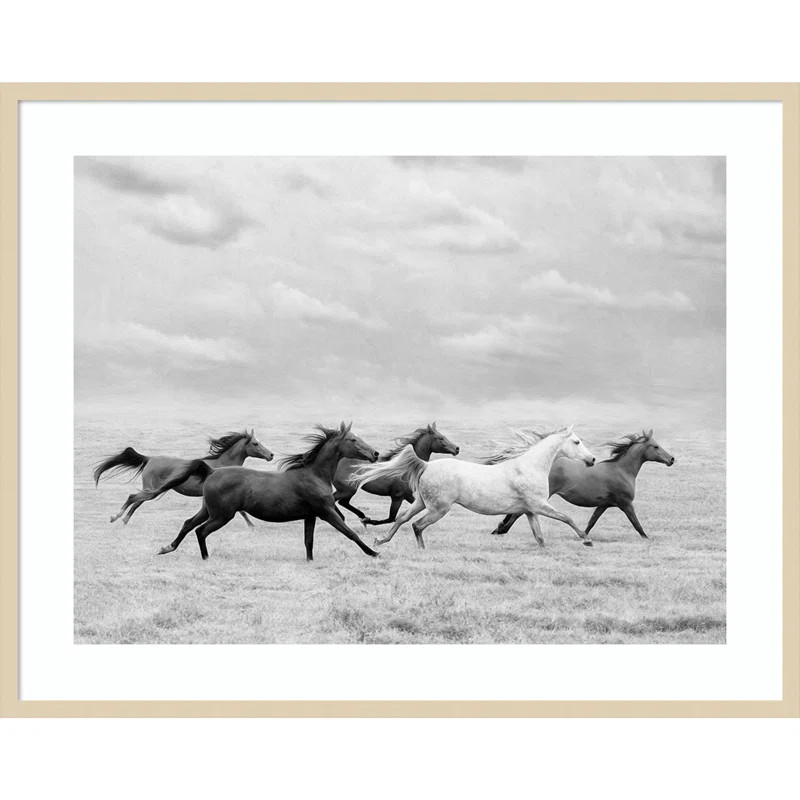 Horse Run I by PHBurchett | Joss & Main