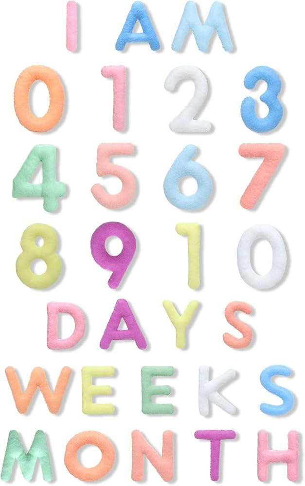 29 Pcs Felt Baby Monthly Milestone Decor Numbers and Letters Newborn Birth Photography Props, 1-1... | Amazon (US)