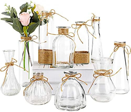 Nilos Glass Vases Set of 10, Clear Vintage Glass Flower Vase with Rope Design and Differing Uniqu... | Amazon (US)