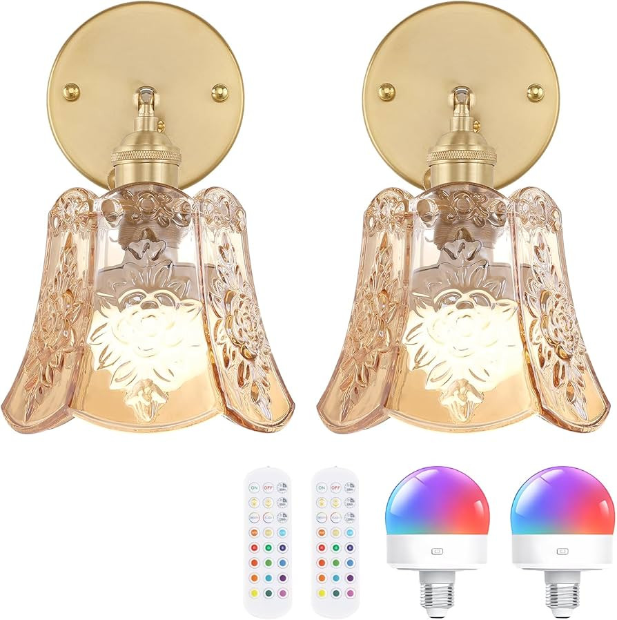 Shenmoyl Vintage Battery Operated Wall Sconces Set of Two, Wireless Battery Powered Rose Wall Sco... | Amazon (US)