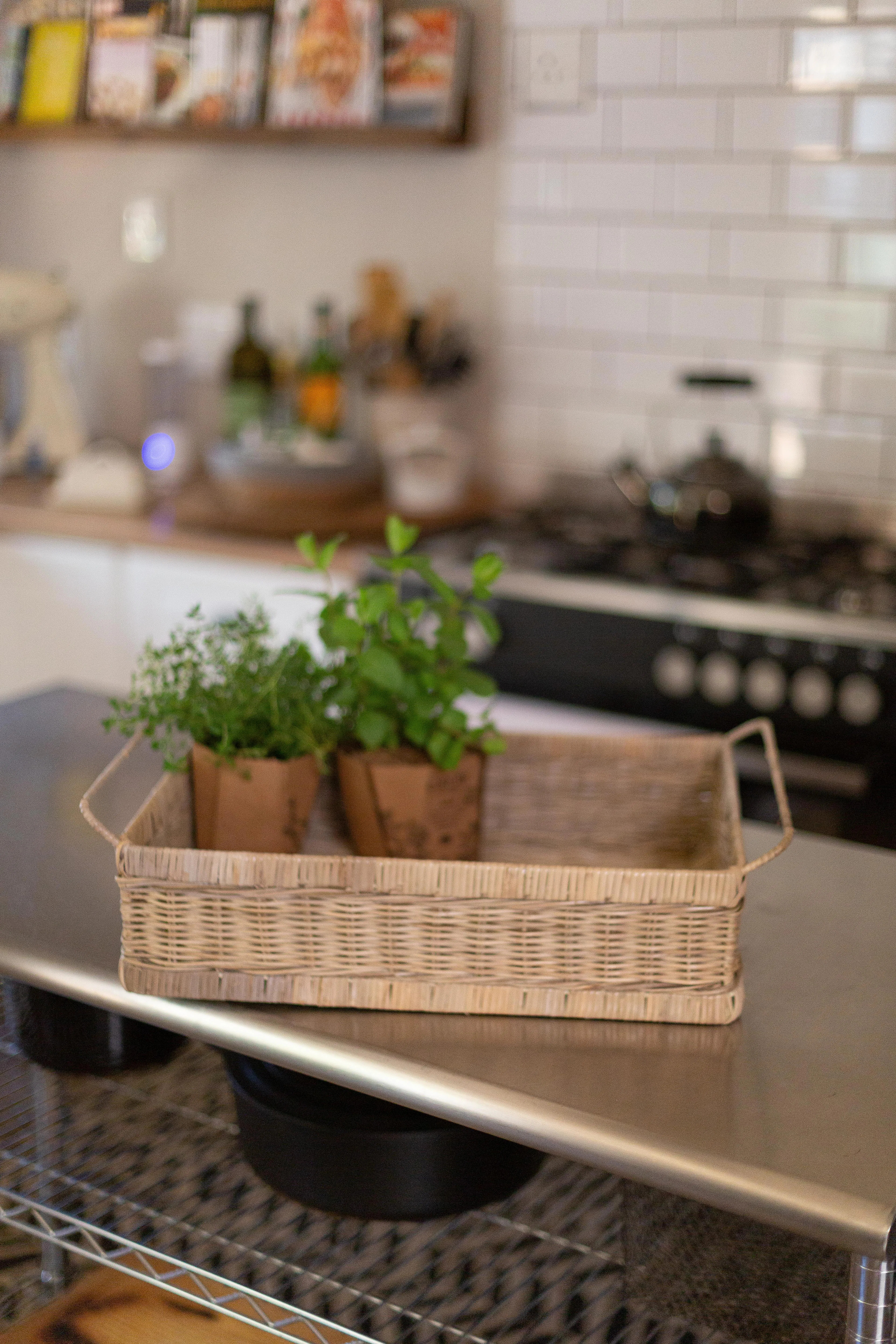 Bay Isle Home™ Rattan Decorative Basket | Wayfair North America