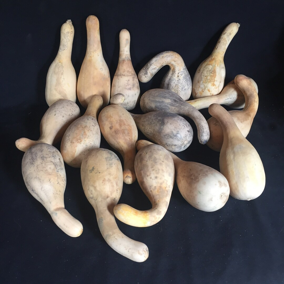 Set of 16 Dried Spoon Gourds for Crafting - Etsy | Etsy (US)