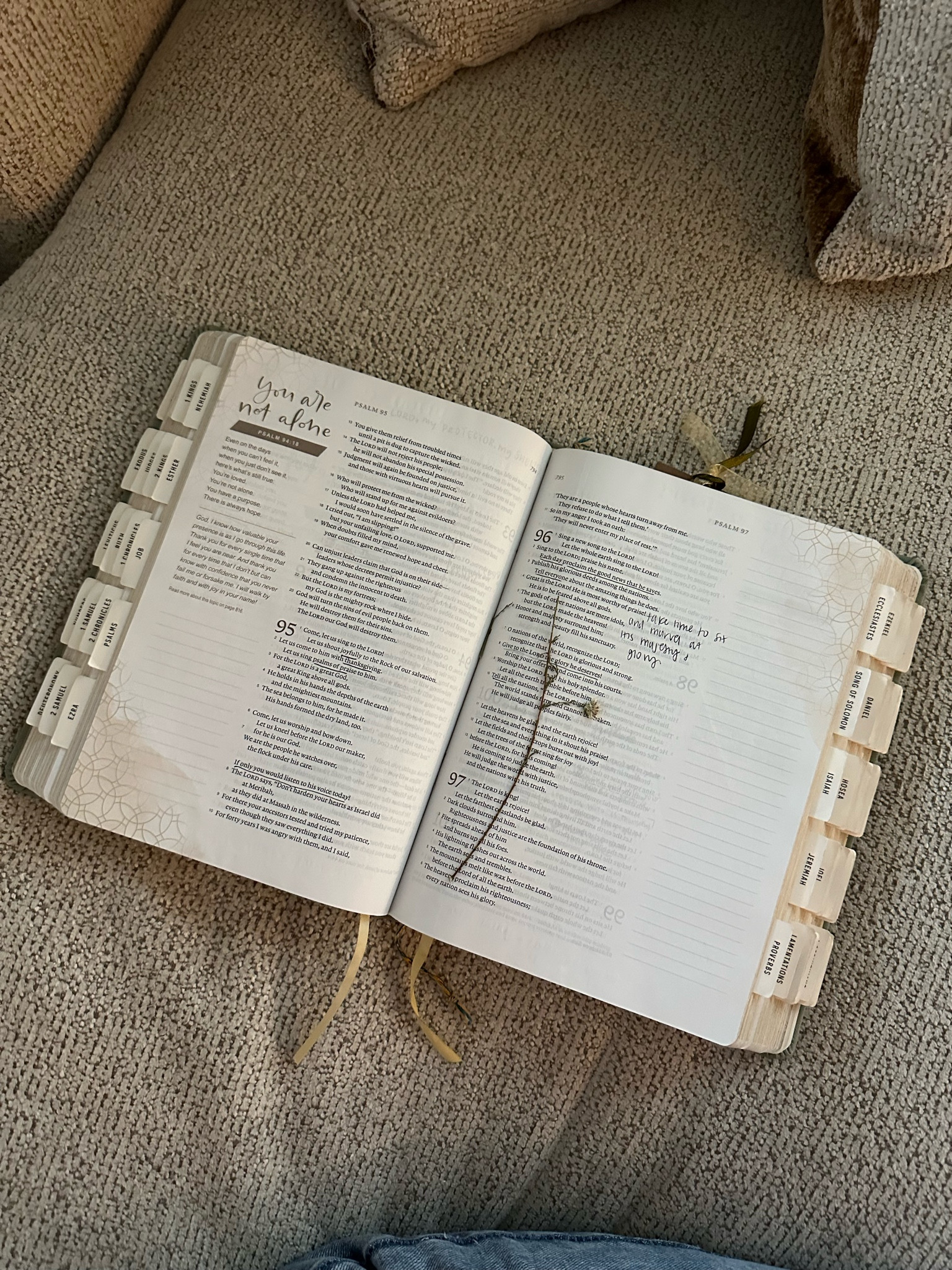 my Bible that i ADORE and get questions on all the time. it is easy to understand and filled with context and note taking space. this has helped me grow my faith so much!!