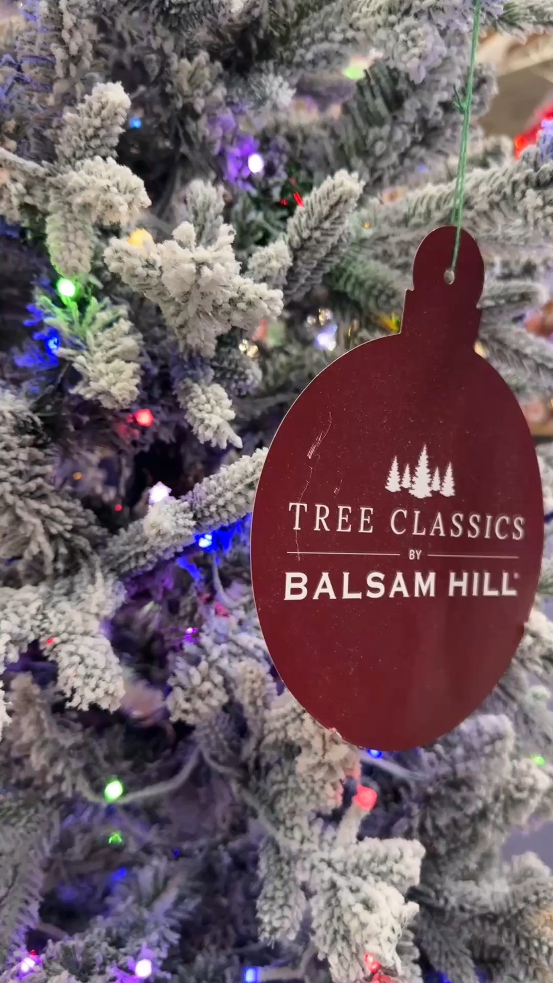 There’s just something so special about these trees from Tree Classics by Balsam Hill 🤍✨ The Snowy Redwood looks dusted in fresh snow, the Classic Fraser feels like it came straight from the tree farm, and the Deluxe Noble is full, soft, and so beautifully detailed. 🎄
Each one has that cozy, timeless charm that makes the whole season feel a little more magical. If you’ve been dreaming of a tree that feels just right, these are the ones everyone’s falling in love with this year

#LTKFamily #LTKHoliday #LTKSeasonal