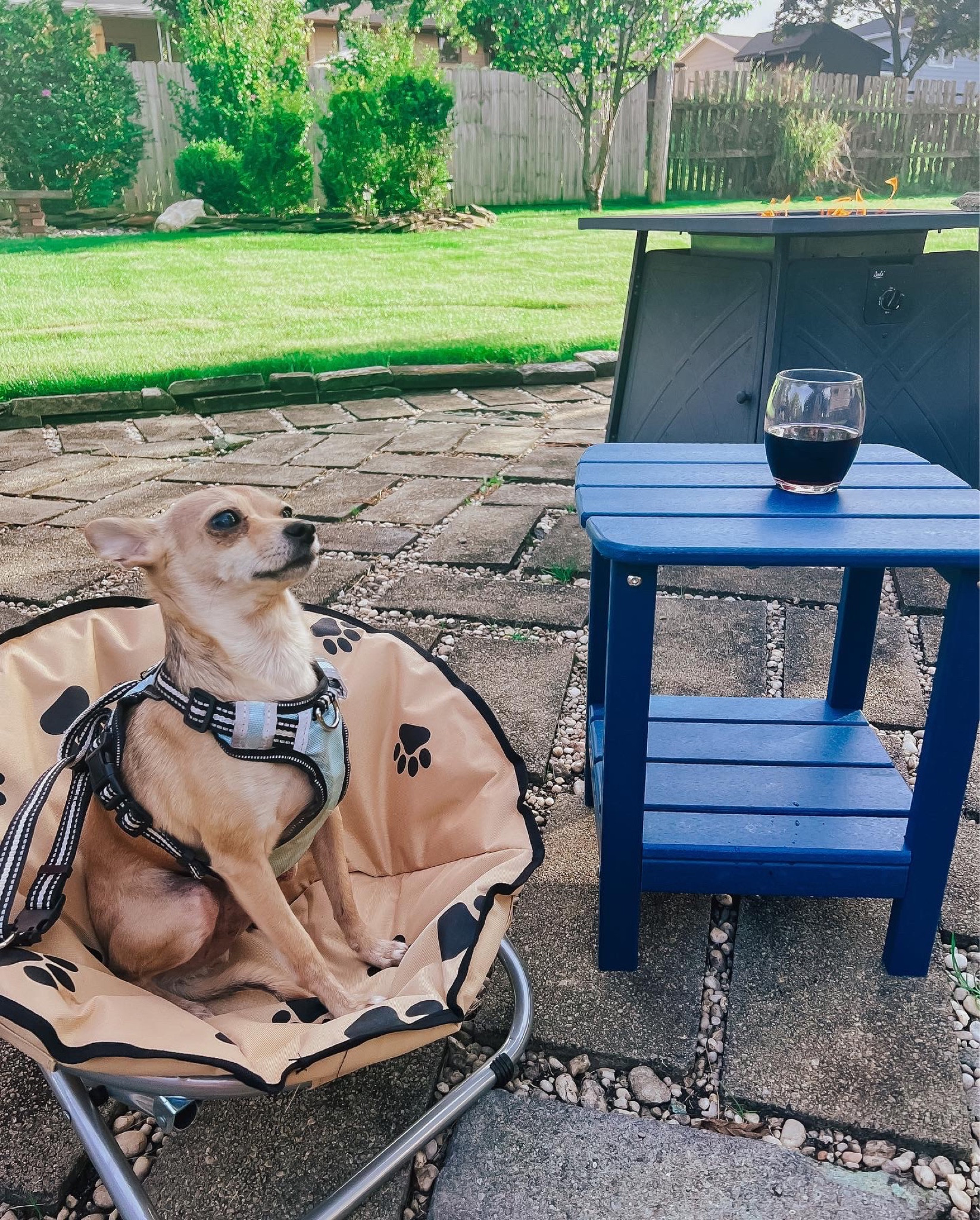 Dark blue outdoor end table use promo code IH7KDBVM to save 30% in addition to any other savings thru 9/30 or while supplies last on Amazon Home - outdoor side table - outdoor pet chair - outdoor furniture - patio furniture - fire pit under $200 - unbreakable wine glasses - Amazon Promo code - Amazon promo codes - Amazon Deals - Amazon Finds - Amazon Pets 

#LTKsalealert #LTKhome #LTKunder50