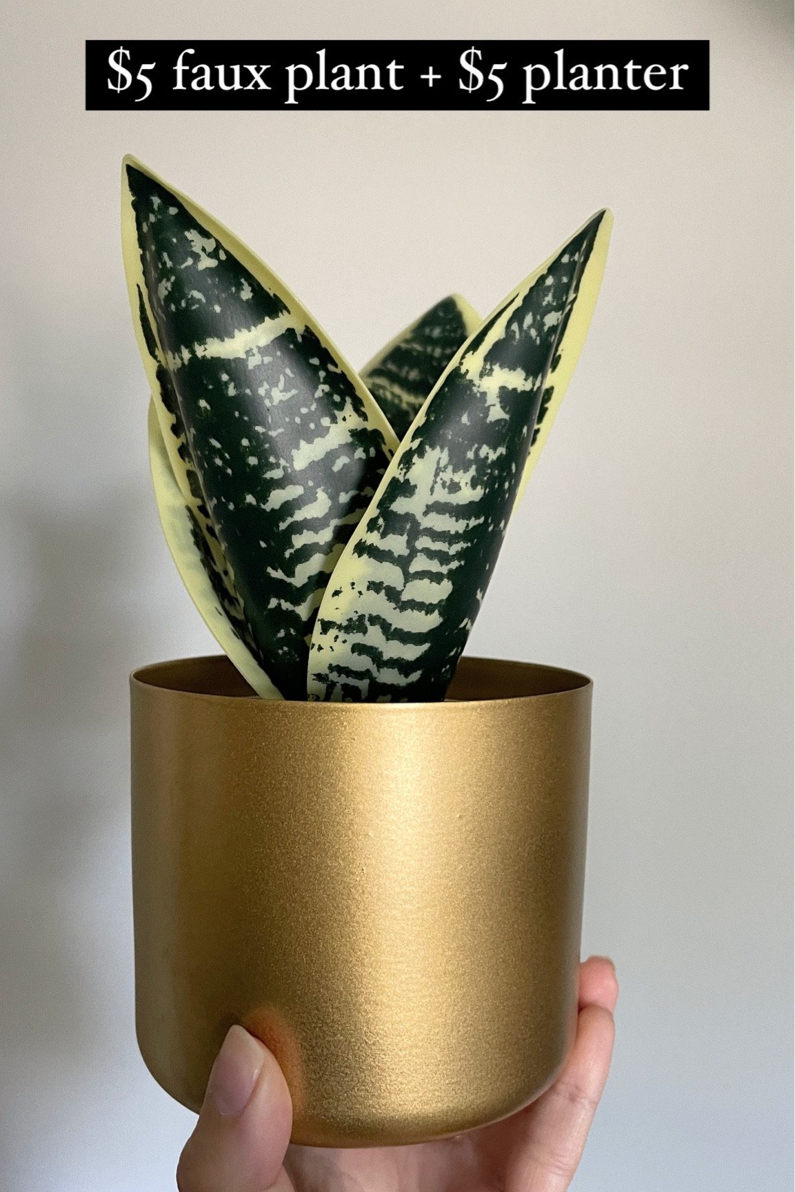 $5 faux plant and gold planter. 

#LTKHome #LTKFindsUnder50 #LTKStyleTip
