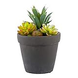 5.5 x 9 Inch Faux Succulent, 1 Realistic Artificial Succulent - In Cement Flower Pot, Use As Table D | Amazon (US)
