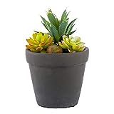 5.5 x 9 Inch Faux Succulent, 1 Realistic Artificial Succulent - In Cement Flower Pot, Use As Table D | Amazon (US)