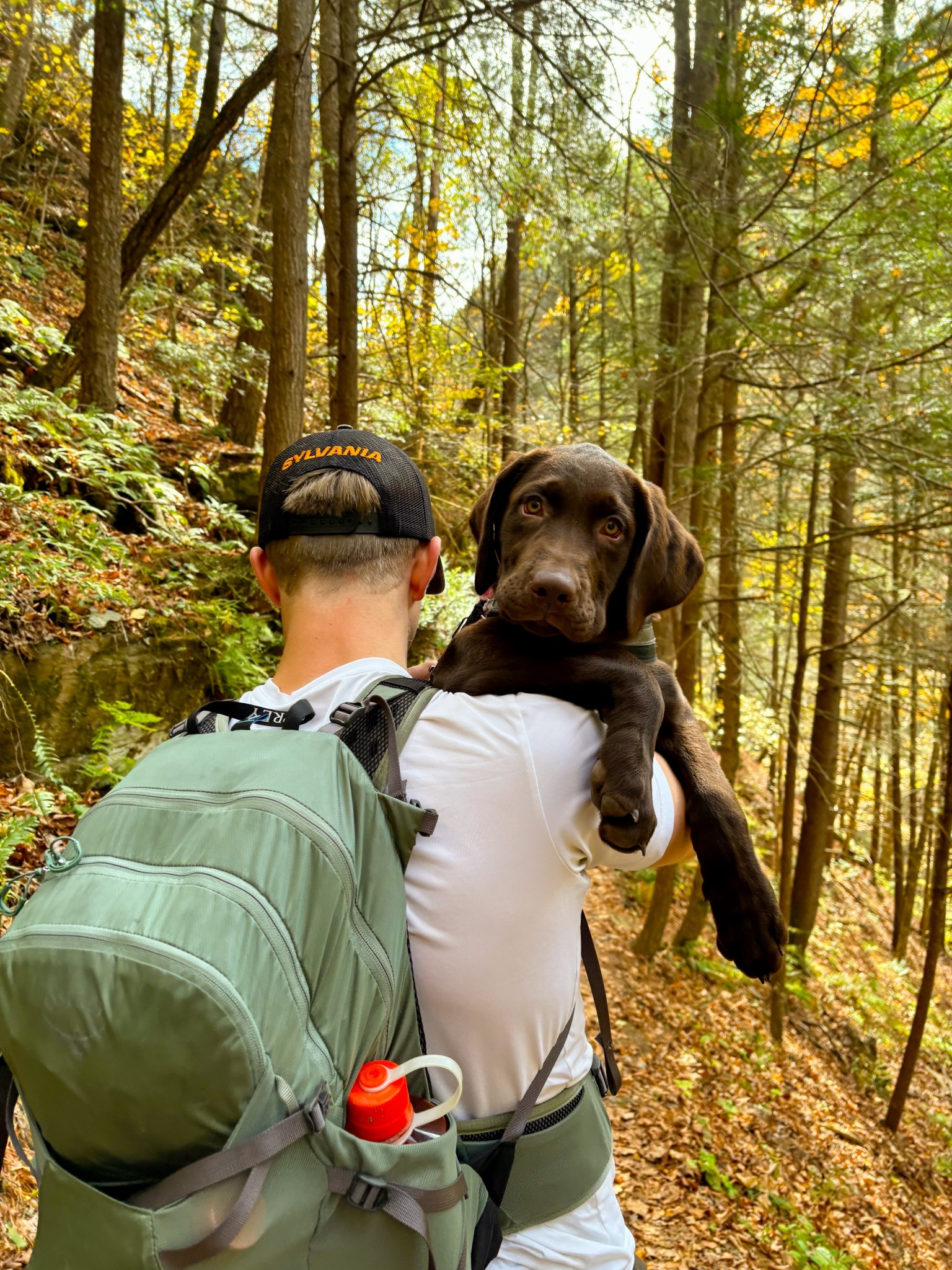 hiking gear 🥾

#LTKFamily #LTKActive #LTKShoeCrush