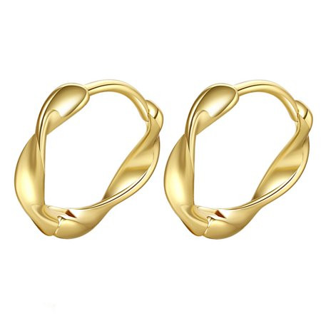 1 Pair Hoops Earrings Twisted Earring Stud Earring Chic Ear Accessories for Women | Walmart (US)