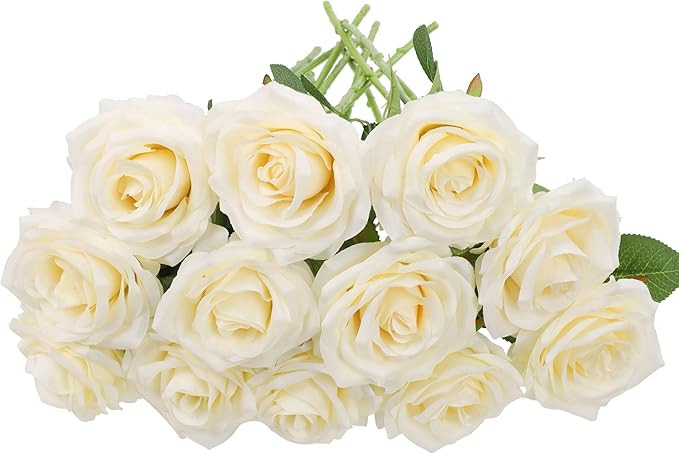 Artificial Rose Flower 12Pcs Ivory Rose Fake Rose Silk Rose Real Looking Fake Flowers with Stems ... | Amazon (US)
