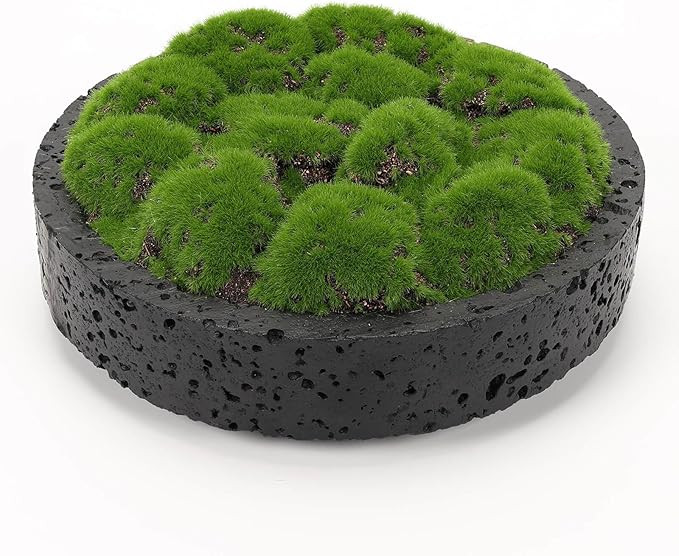 NAHARO New Moss Bowl,8''Handmade Cement Bowl–Artificial Moss Centerpiece for Home Decoration, L... | Amazon (US)