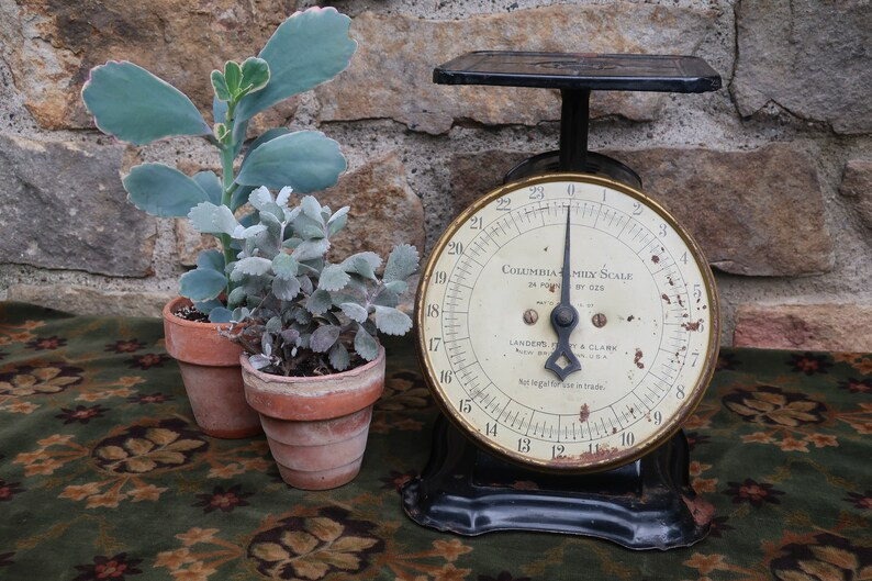 Antique Columbia Family Scale 24 Pound Rustic Black Kitchen - Etsy | Etsy (US)