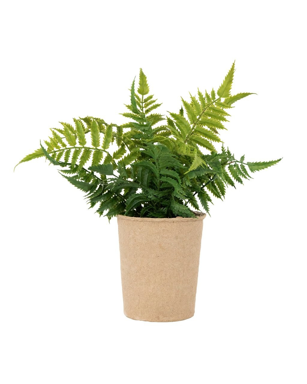 Faux Paper Pot Fern | McGee & Co.