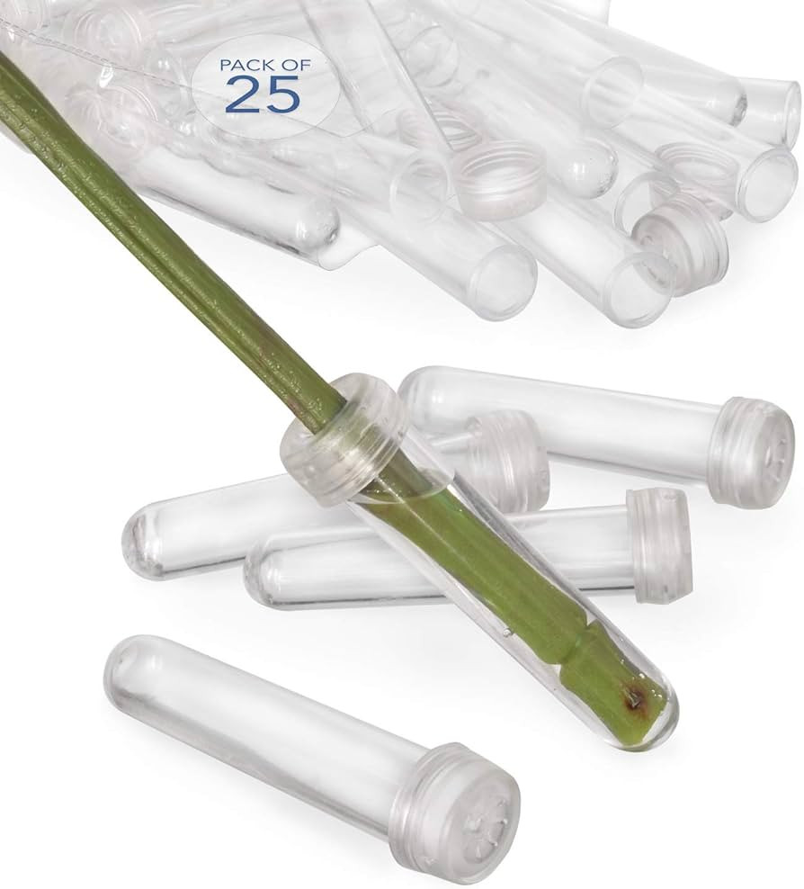 Royal Imports Floral Water Tubes/Vials for Flower Arrangements, Clear - 3" (1/2" Opening) - Stand... | Amazon (US)