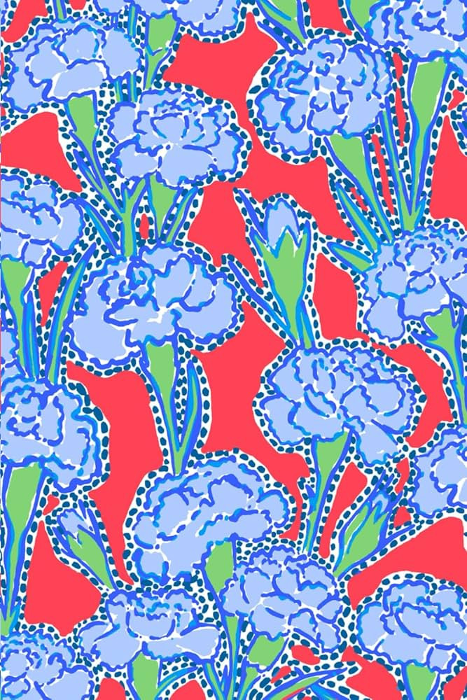 LP/Preppy Splash: Journal/Notebook 120 lined pages | Amazon (US)