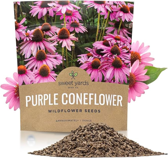 Purple Coneflower Seeds – Extra Large Packet – Over 3,000 Open Pollinated Non-GMO Wildflower ... | Amazon (US)