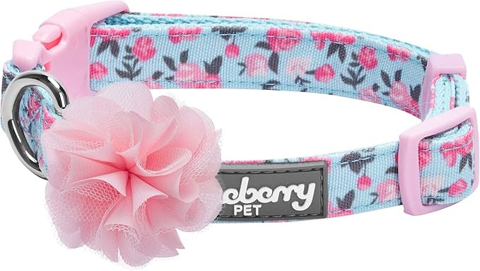 Blueberry Pet 10+ Patterns Made Well Floral Collection - Dog Collars, Harnesses, Leashes, Harness... | Amazon (US)
