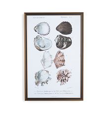 24x36 Ornate Framed Oysters And Shells Wall Art | Coastal | Marshalls | Marshalls