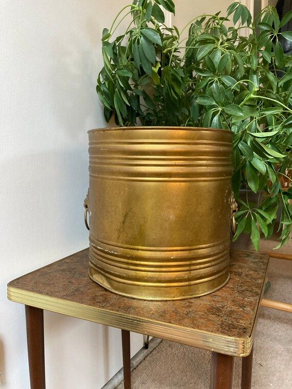 Large brass planter with lions heads | Etsy | Etsy (US)