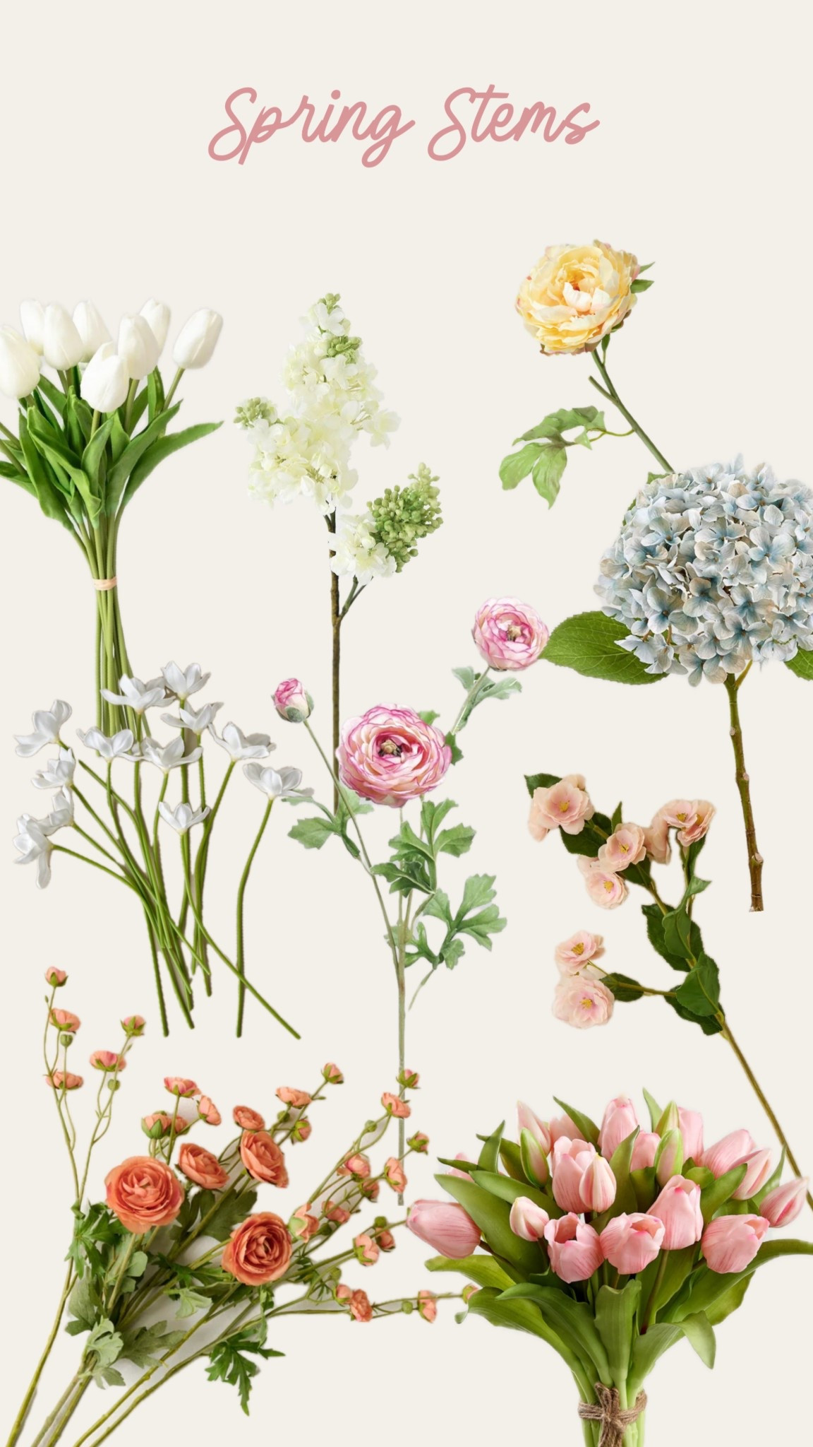 Spring stems & florals 🌷

#LTKHome #LTKSeasonal