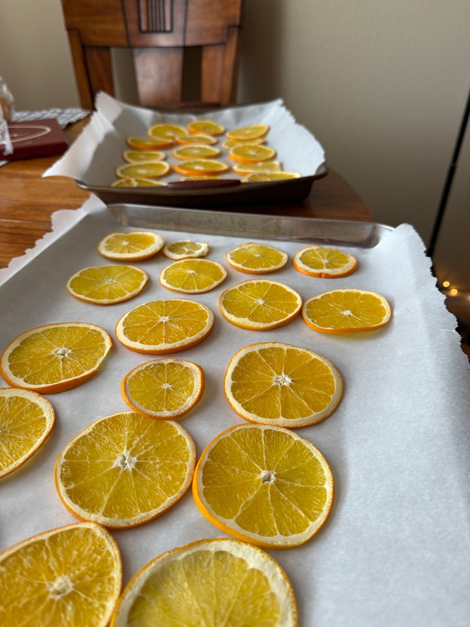 drying citrus!



#LTKdayinmylife #LTKSeasonal #LTKHoliday