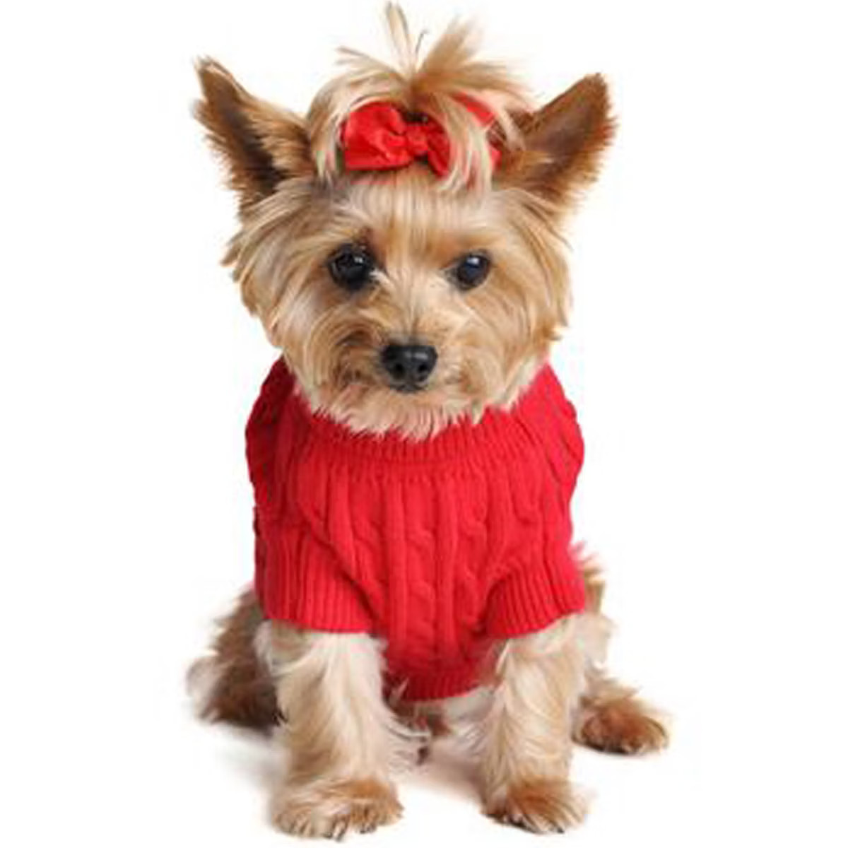 Cotton Cable Knit Dog Sweater - Red | Target