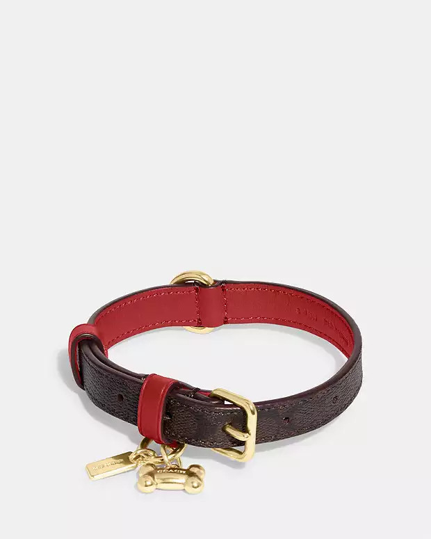 Boxed Small Pet Collar In Signature Canvas | Coach Outlet US