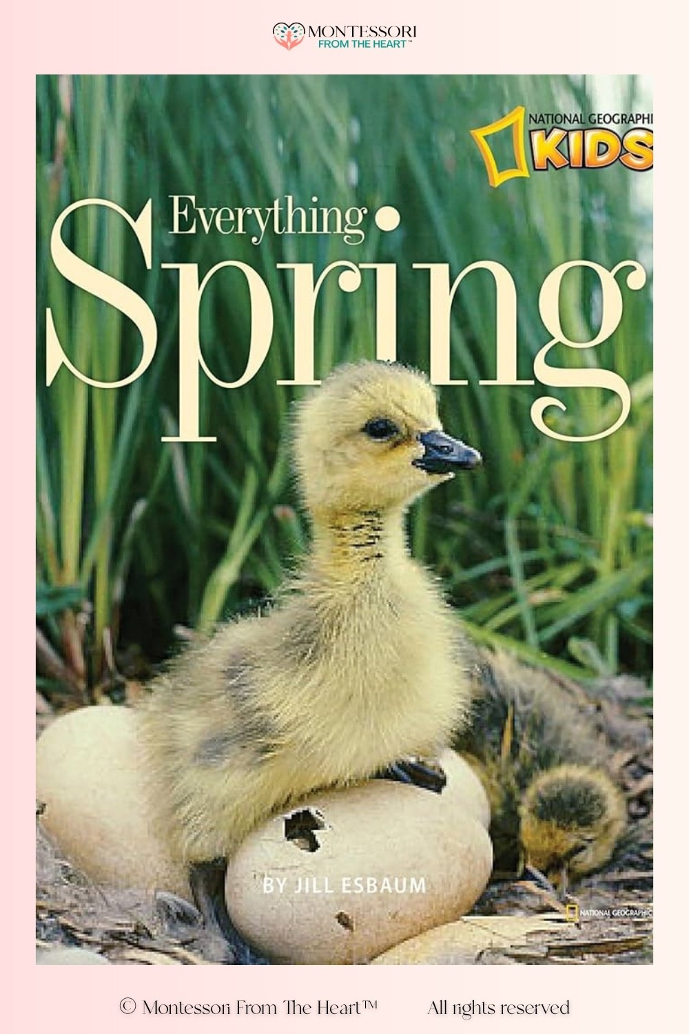 Everything Spring

#LTKKids #LTKSeasonal #LTKstorytime