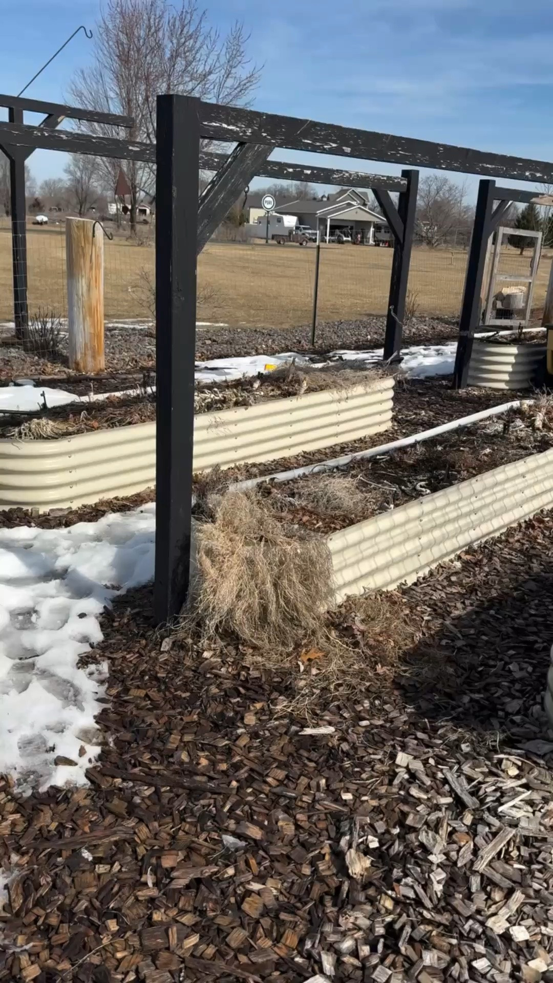 I planted peas & carrots last month as a “let’s just see what happens” experiment with my little…
Snow on the ground. More snow in the forecast. Zero patience on my end 😆

And somehow… they came up.

Reminder: not everything in the garden needs perfect timing.
Some crops actually prefer the chaos of early spring.

If you’re like me and have no chill when it comes to planting—
lean into it… just pick the right crops 😉

#zone4garden #earlyspringplanting #gardeningwithkids #homesteadmama #growyourownfood