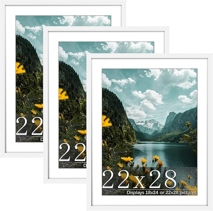 Picrit 22x28 Frame 3 Pack, White Poster Frame, Display Poster 18 x 24 with Mat or 22 x 28 Without... | Amazon (US)
