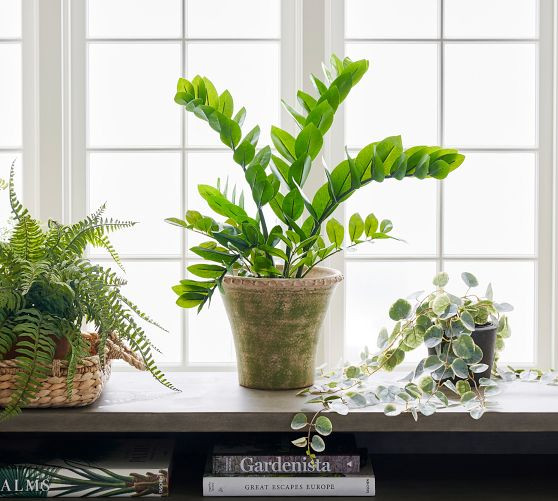 Faux ZZ Plant | Pottery Barn (US)
