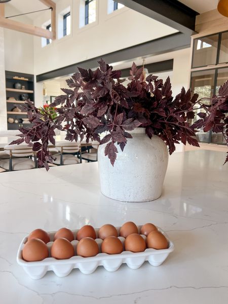 I’m a sucker for a cute egg holder. Then these faux fall stems with this vase are always a vibe! I have 5 stems in this vase. 

#LTKhome #LTKFind #LTKSeasonal