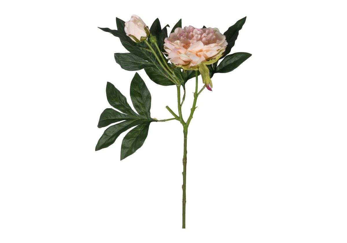 PEONY STEM | IVORY & PINK | Alice Lane Home Collection