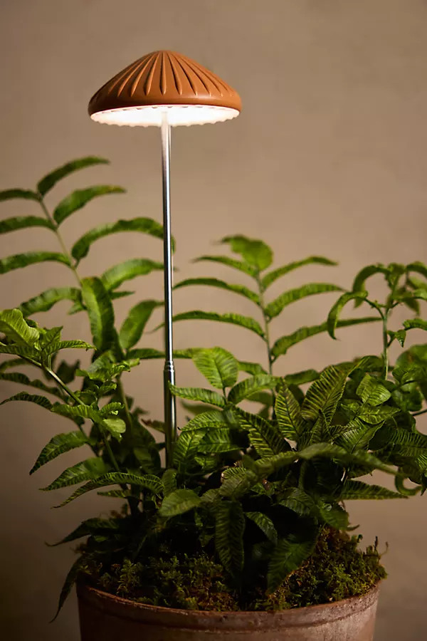 Mushroom LED Grow Light | Terrain