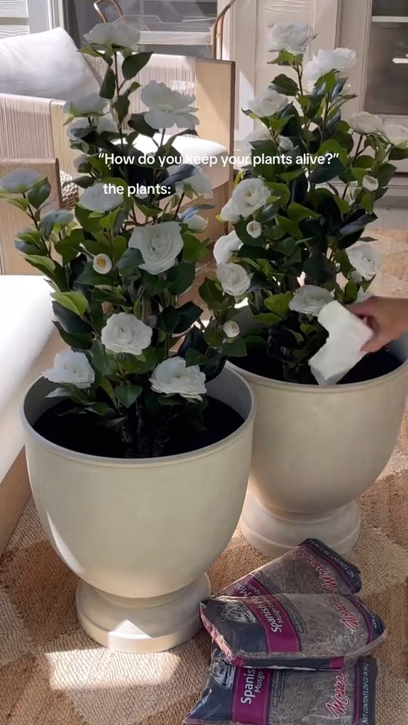 My fave hack for my outdoor plants! 🤍 I’ve had these for a year now and they still look so good!




Home, life hack, home decor, patio, outdoor, backyard, planter, Amazon, Lowe’s, planter, fake flowers, easy, sidneymarieduke

#LTKHome