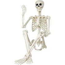 Halloween Skeleton Decorations,36" Posable Human Skeleton Decorations for Halloween Party Decor, ... | Amazon (US)