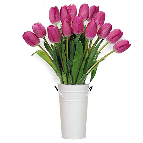 Stargazer Barn Pretty in Pink Tulips-Farm Direct Pink Tulips with Vase, 15 Count | Amazon (US)