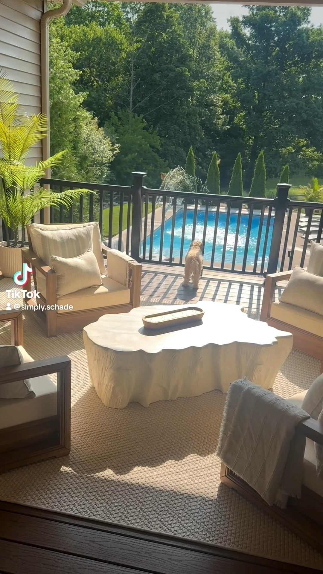 🎶 If you want something just like this… ✨

If you’ve been loving my backyard setup, I’ve linked my entire patio look for you! From the furniture to the décor, it’s all in one place.

🏡 Click my link below to shop the look and create your own backyard oasis! ☀️🤍

#LTKHome #PatioInspo #BackyardGoals #OutdoorLiving #SummerVibes #LTKFinds #HomeDecor #PatioSeason

#LTKSeasonal #LTKHome #LTKdayinmylife