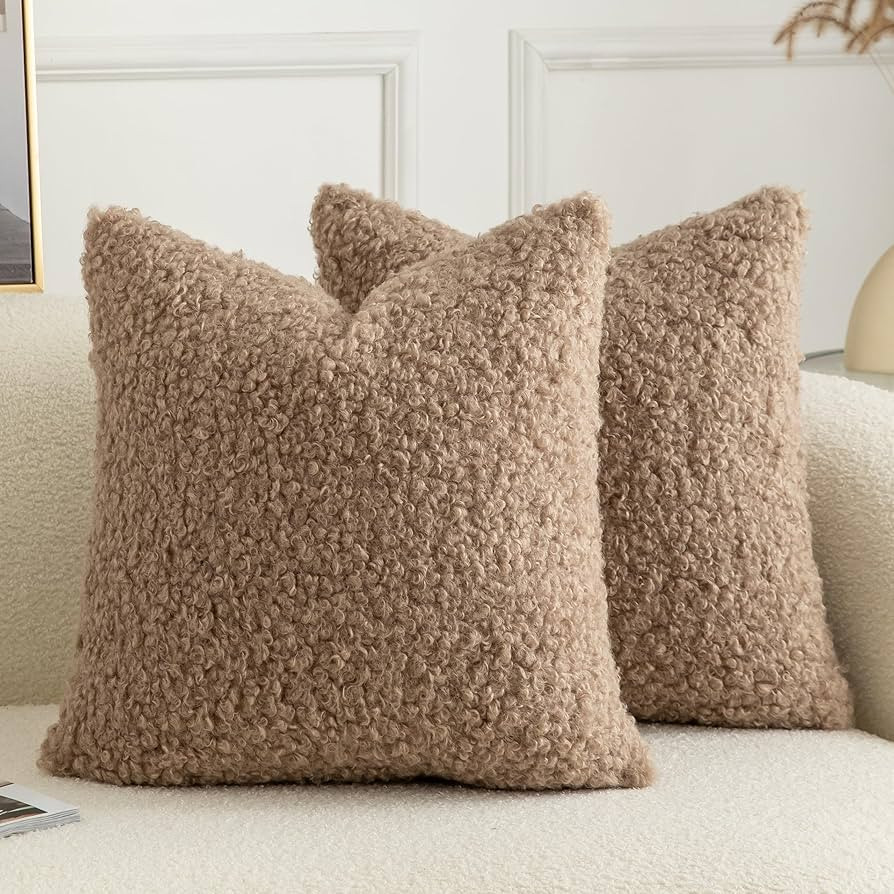 Pack of 2 Curly Teddy Wool Faux Fur Throw Pillow Covers Fuzzy Accent Soft Sherpa Pillowcases Shee... | Amazon (US)