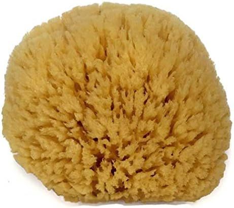 Natural Sea Sponge 6-7" by Spa Destinations "Creating The At-Home Spa Experience" | Amazon (US)