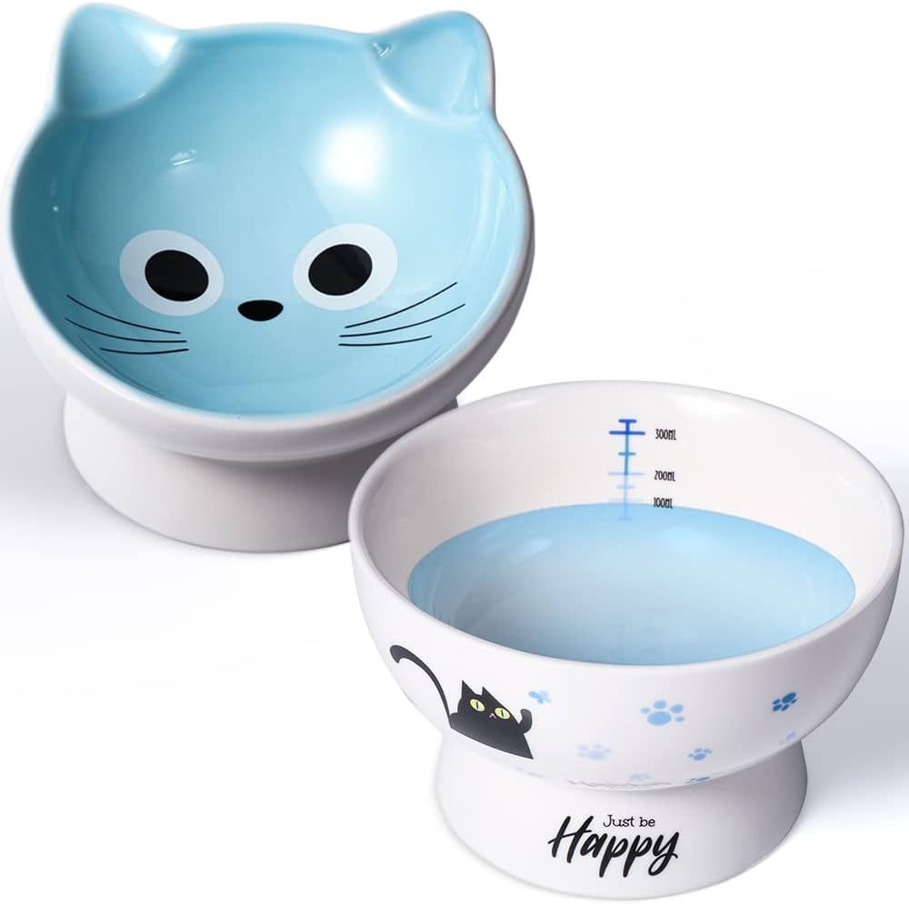 AISBUGUR Ceramic Cat Bowls Set of 2, Elevated 15 Tilted Design for Indoor Cats, Large Capacity, E... | Amazon (US)