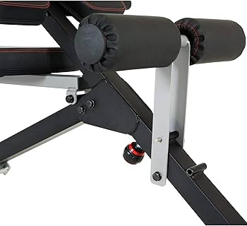 Fitness Reality X-Class Light Commercial Multi-Workout Abdominal/Hyper Back Extension Bench, Blac... | Amazon (US)