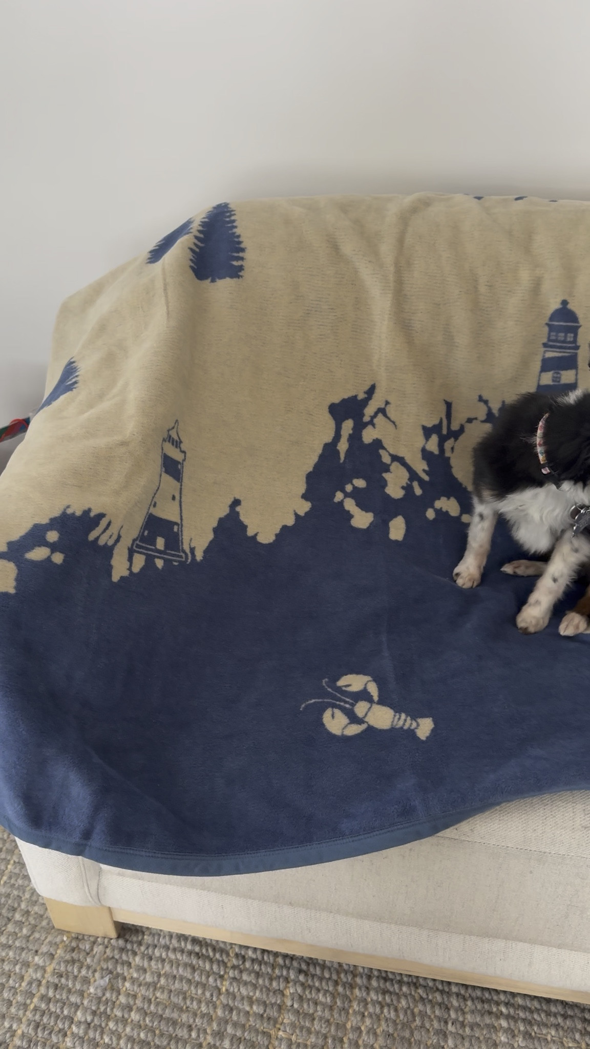 This Chappy Wrap was a favorite this February. I love the Maine motif. 

#LTKselfcare #LTKPetite #LTKHome