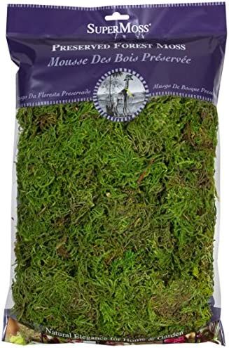 SuperMoss (25322) Forest Moss Preserved, Fresh Green, 8oz | Amazon (US)