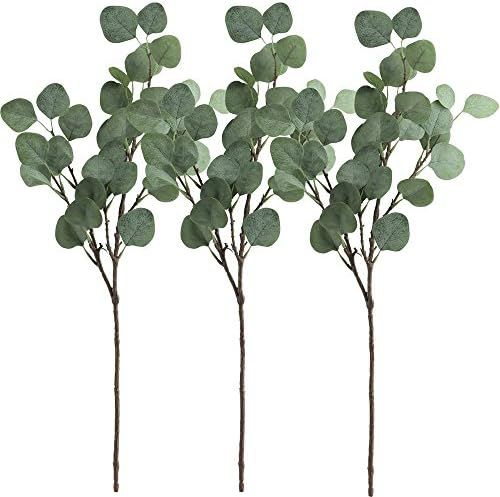 Supla 3 Pcs Artificial Silver Dollar Eucalyptus Leaf Spray in Green 25.5" Tall Artificial Greener... | Amazon (US)